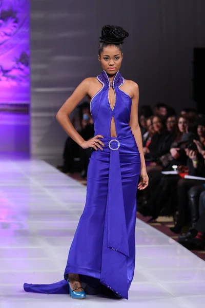 Nowy Jork - 17 lutego: model idzie na wybiegu moda Cedeño ariel w hotelu new yorker couture fashion Week 17 lutego 2013 r. w Nowym Jorku — Zdjęcie stockowe