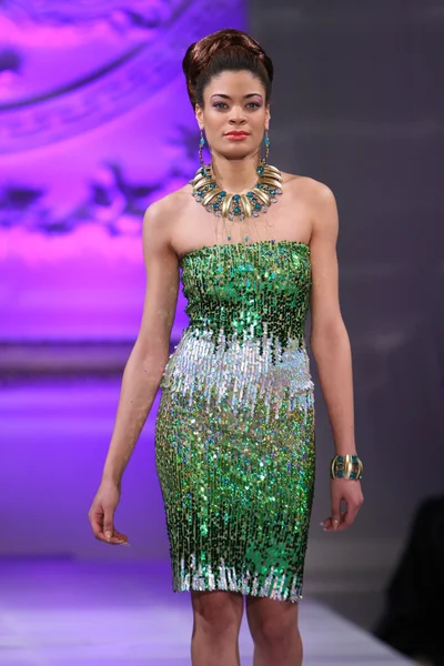 纽约 — — 2 月 17 日： 一个模型在纽约城在纽约酒店阿里埃勒 · 塞德尼奥时尚跑道上走时装时装周上 2013 年 2 月 17 日 — 图库照片
