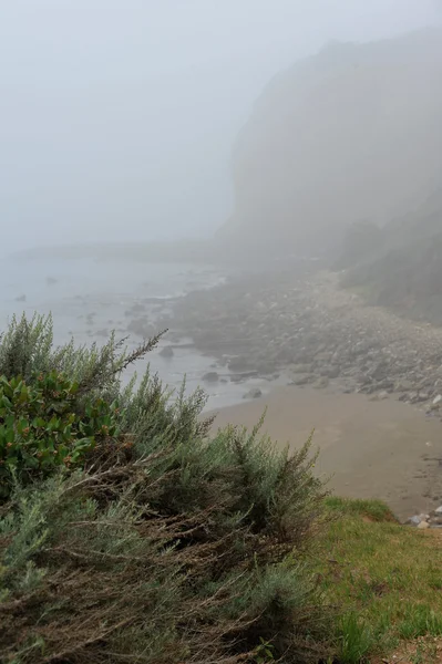 Manhã nebulosa no litoral da Califórnia — Fotografia de Stock