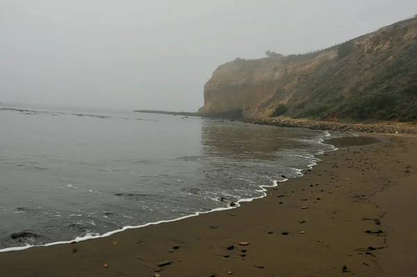 カリフォルニアの海岸線での霧の朝 — ストック写真