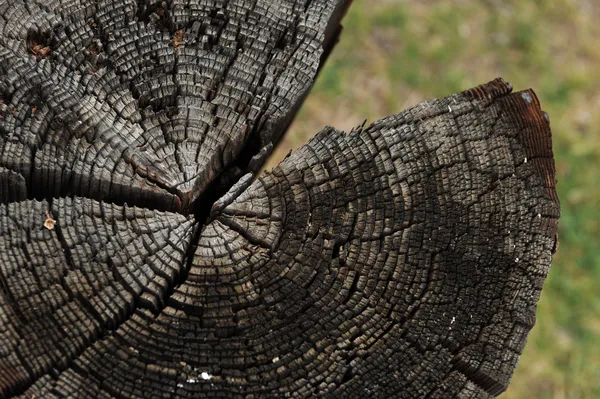 Fondos Metal Artístico Con Corteza Pintura Antigua — Foto de stock