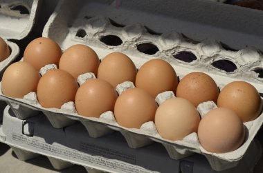 çiftlik kahverengi yumurta kutusu