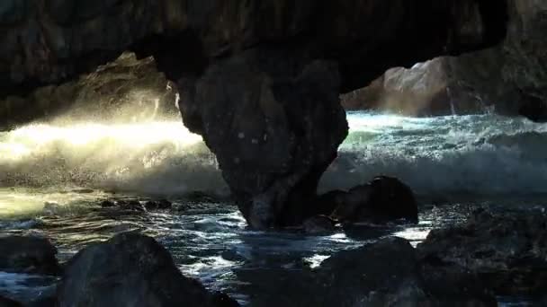 Lindas paisagens litorâneas oceânicas de vulcão e campo de lava com animais no Rancho Palos Verdes, Califórnia — Vídeo de Stock