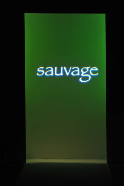 Η sauvage συλλογή για την άνοιξη, το καλοκαίρι του 2014 — Φωτογραφία Αρχείου