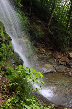 catskils dağlar, şelaleler taşrada ny