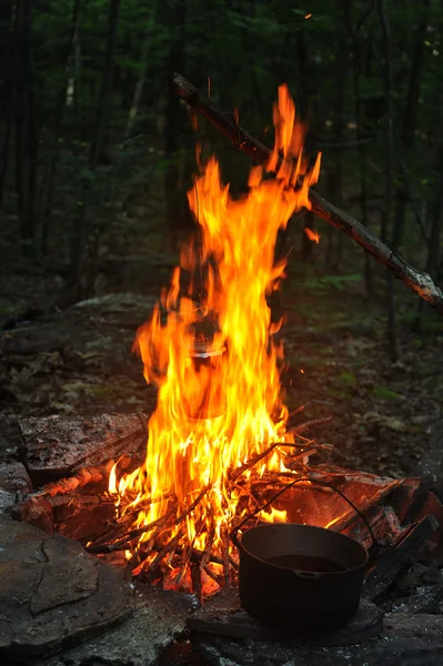 Lagerfeuer unten im Wald mit Teekanne vorne — Stockfoto
