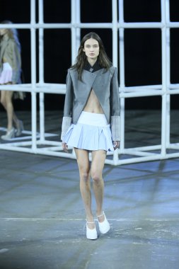 alexander wang defile, model