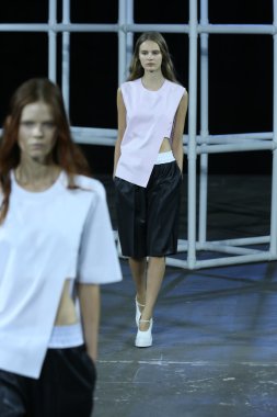 alexander wang defile, model