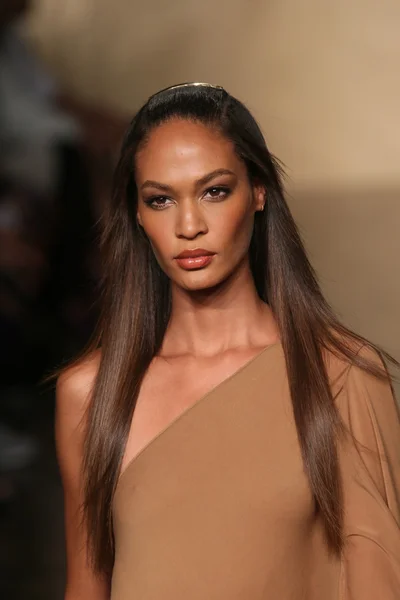 Modelo camina en Donna Karan desfile de moda — Foto de Stock