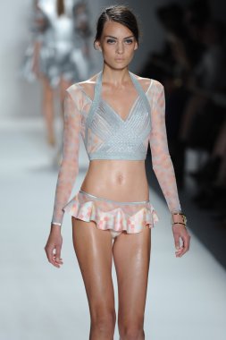 zimmermann defile, model