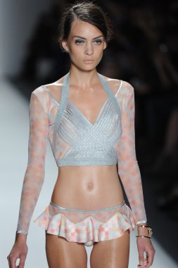 zimmermann defile, model