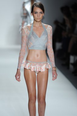 zimmermann defile, model