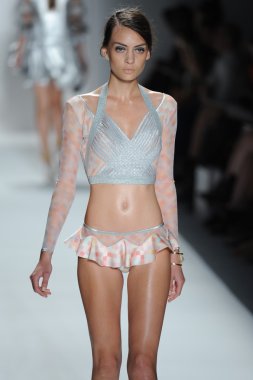 zimmermann defile, model