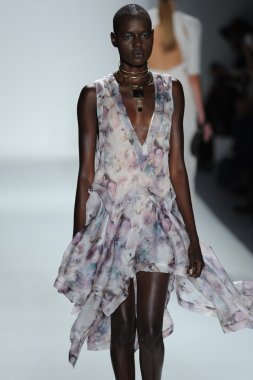 zimmermann defile, model
