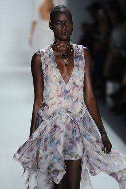 zimmermann defile, model