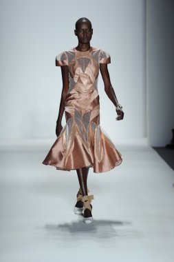 zimmermann defile, model