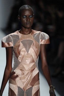 zimmermann defile, model