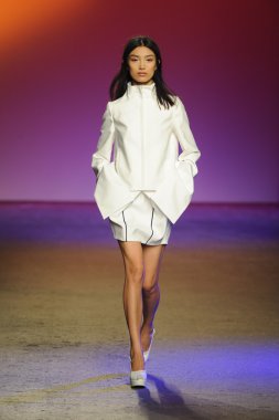 prabal gurung tarafından ICB modeli