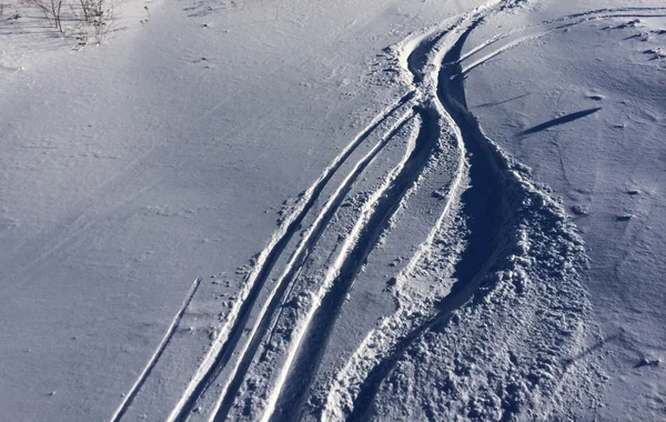 Ski tracks — Stock Photo, Image