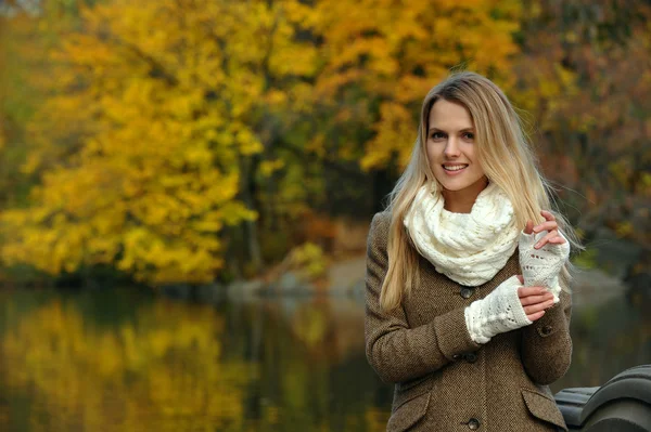 Bir sonbahar gecesi parkta genç ve güzel kadın portresi — Stok fotoğraf