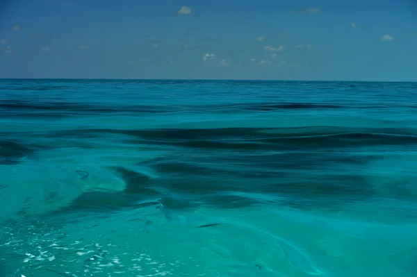 푸른 열 대 물 — 스톡 사진