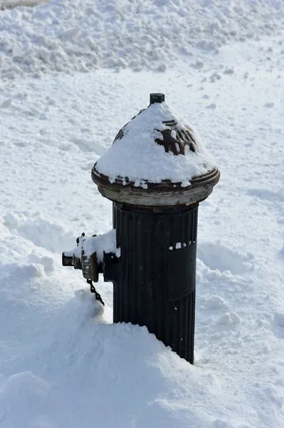 Idratante sotto neve fresca — Foto Stock