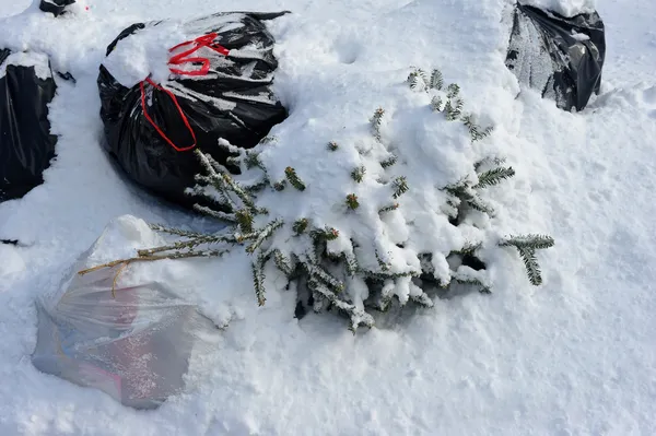 Noel ağacı ve çöp torbaları — Stok fotoğraf