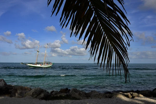 Barca a vela in acque tropicali — Foto Stock