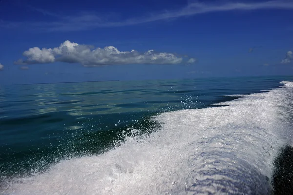 Vlna z motoru na tropické vody — Stock fotografie