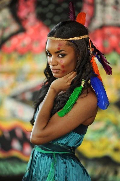 Mooie Indiase cherokee vrouw met veren — Stockfoto