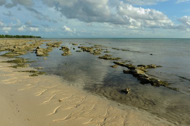 mercan resifleri gün batımında