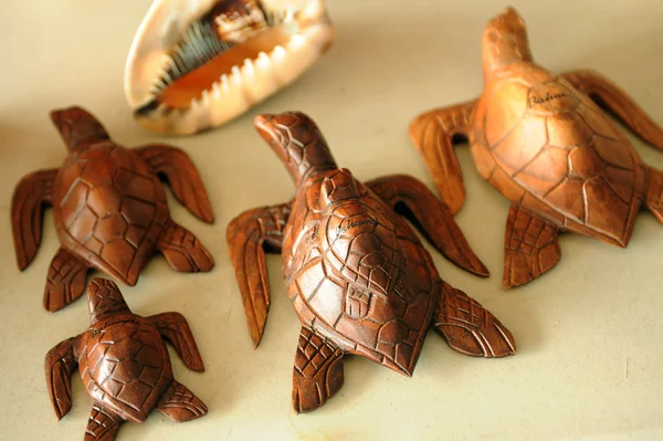 Souvenir wooden turtles and shell — Stock Photo, Image