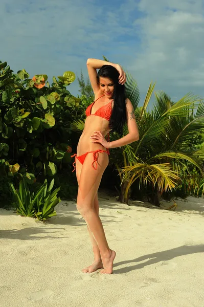 Sexig brunett i bikini på stranden — Stockfoto