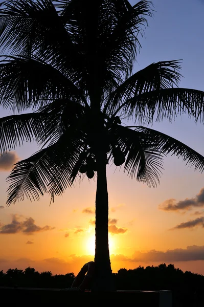 Tropical sunset with red sky — Stock Photo, Image