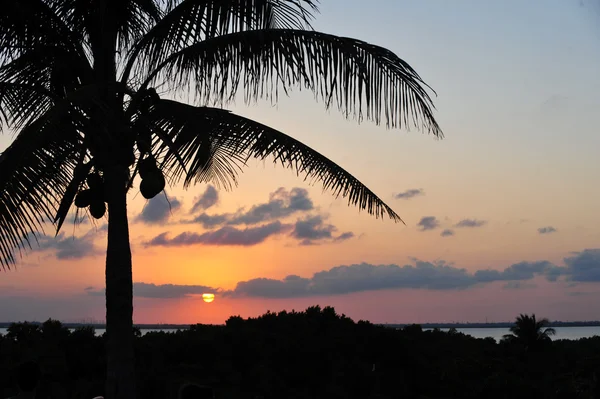 Tropisk solnedgång med röd himmel — Stockfoto