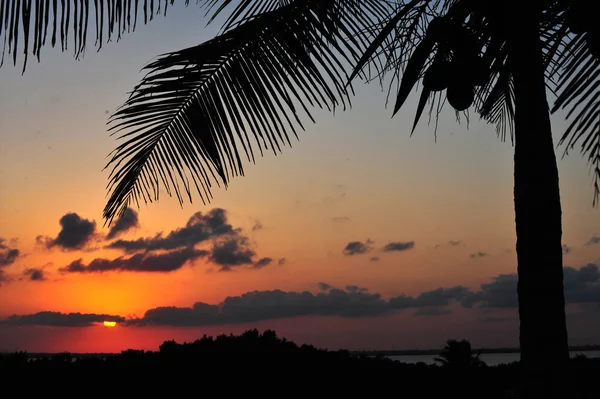 Tropical sunset with red sky — Stock Photo, Image