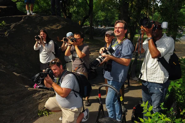 Modelos desnudos, artistas toman las calles de Nueva York durante el primer evento oficial de Pintura Corporal —  Fotos de Stock