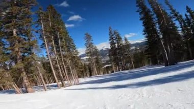 Colorado 'daki Breckenridge kayak merkezinde çam ağaçlarının arasında tek başına kayak yapmak. Mavi gökyüzü ile güneşli güzel bir gün.