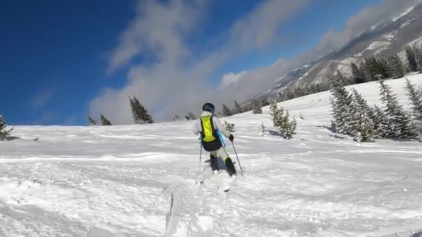 Dois Homens Esquiando Descida Neve Fresca Durante Belo Tempo Ensolarado — Vídeo de Stock