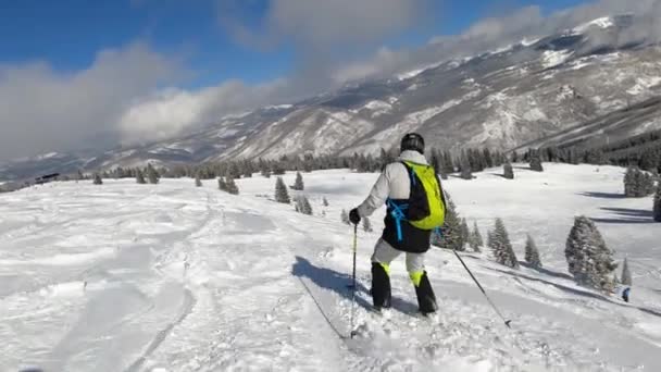 Skidåkning Med Vän Nedförsbacke Nysnö Pulver Mongoliska Skål Vail Ski — Stockvideo