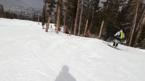 Esqui Avançado Entre Árvores Neve Fresca — Vídeo de Stock