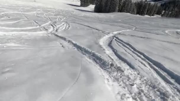 Esqui Neve Fresca Bacia Mongólia Vail Ski Resort — Vídeo de Stock