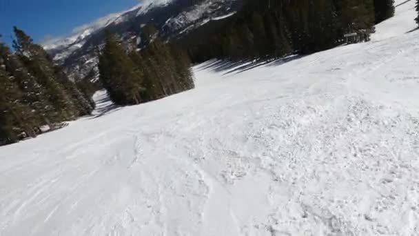 バッファローパーク ベイルスキーリゾートの木々の間の高度なスキー — ストック動画