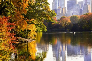 New York 'taki Central Park' taki muhteşem sonbahar ağaçları ve gölet.