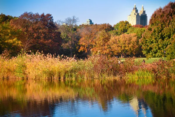 Осень Центральном Парке Нью Йорка Разноцветные Деревья Отражаются Пруду — стоковое фото