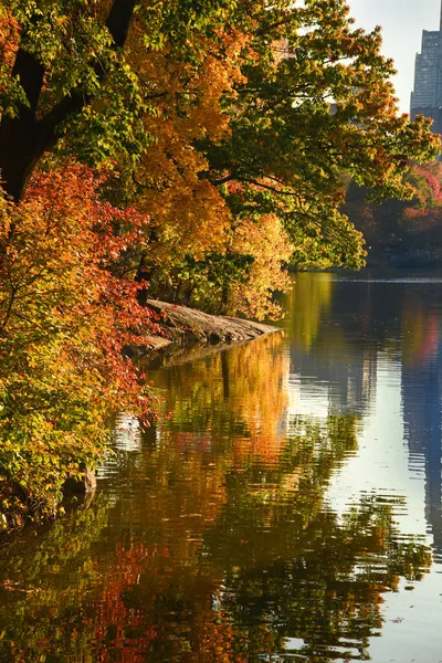 Incríveis Árvores Coloridas Outono Lagoa Central Park Nova York — Fotografia de Stock