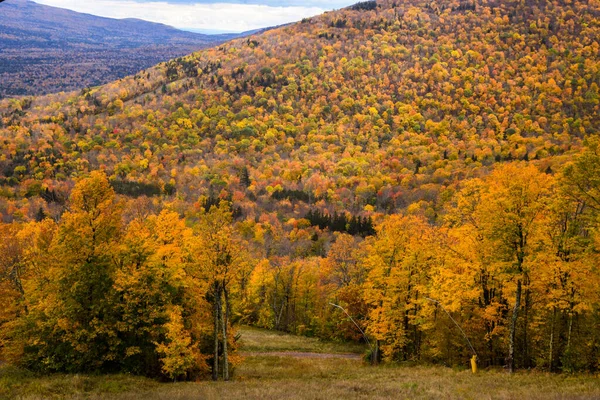 Jesienny Krajobraz Hunter Mountain Usa Kolorowymi Drzewami Ścieżką — Zdjęcie stockowe