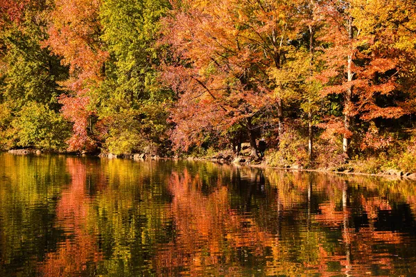 秋天公园里五彩斑斓的树叶 阳光灿烂的日子里在池塘里倒影 — 图库照片