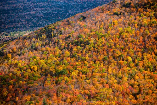 Fantastici Colori Del Paesaggio Autunnale Nella Montagna Hunter Usa — Foto Stock