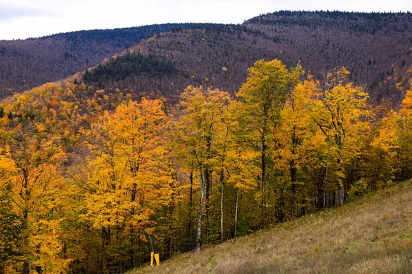 Sonbahar Ağaçlarıyla Kaplı Dağ Manzarası Sonbahar Mevsiminin Doğal Güzelliği — Stok fotoğraf